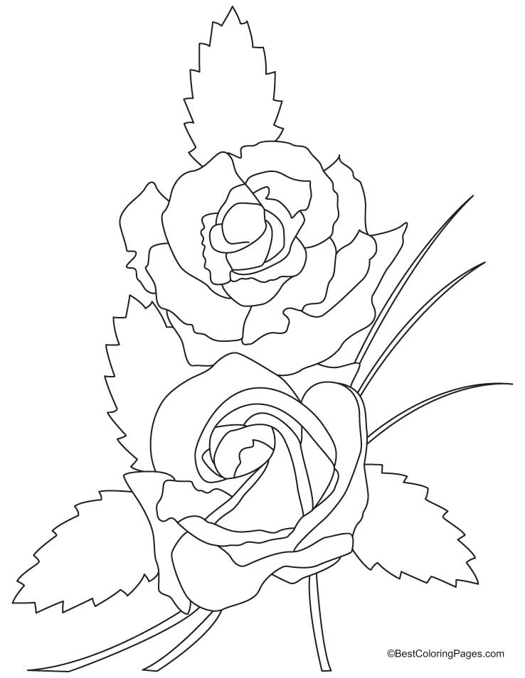 Valentine rose coloring page | Download Free Valentine rose