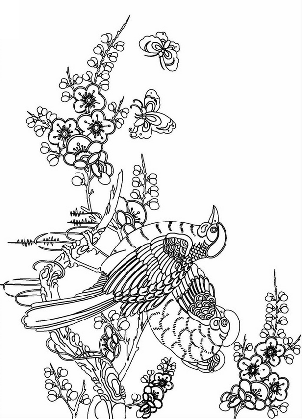 Adult Coloring Pages Free Printable Coloring Pages For Adults
