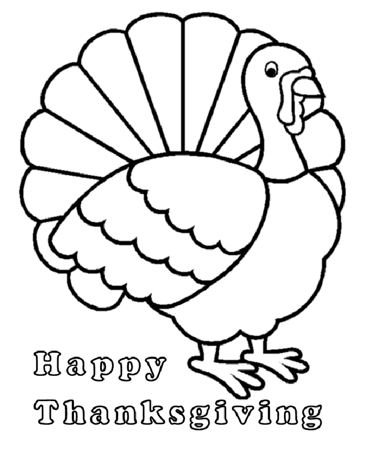 4100 Thanksgiving Turkey Drawing Stock Photos Pictures  RoyaltyFree  Images  iStock
