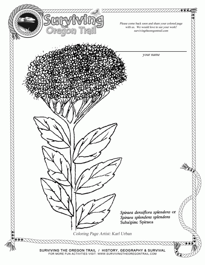 Free Botany Coloring Pages 