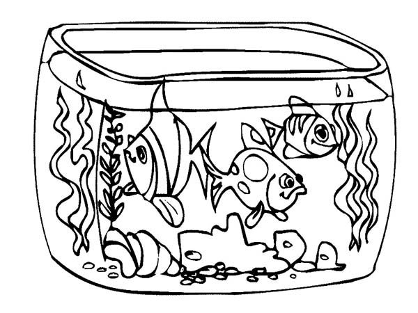 Fish in aquarium sketch icon Royalty Free Vector Image