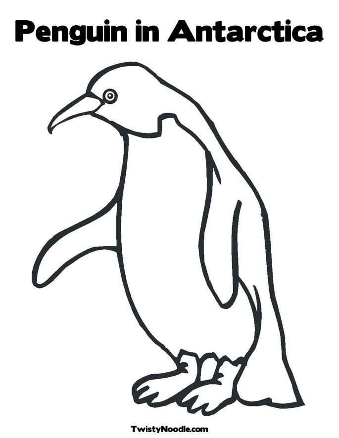 Adelie Penguin Coloring Page