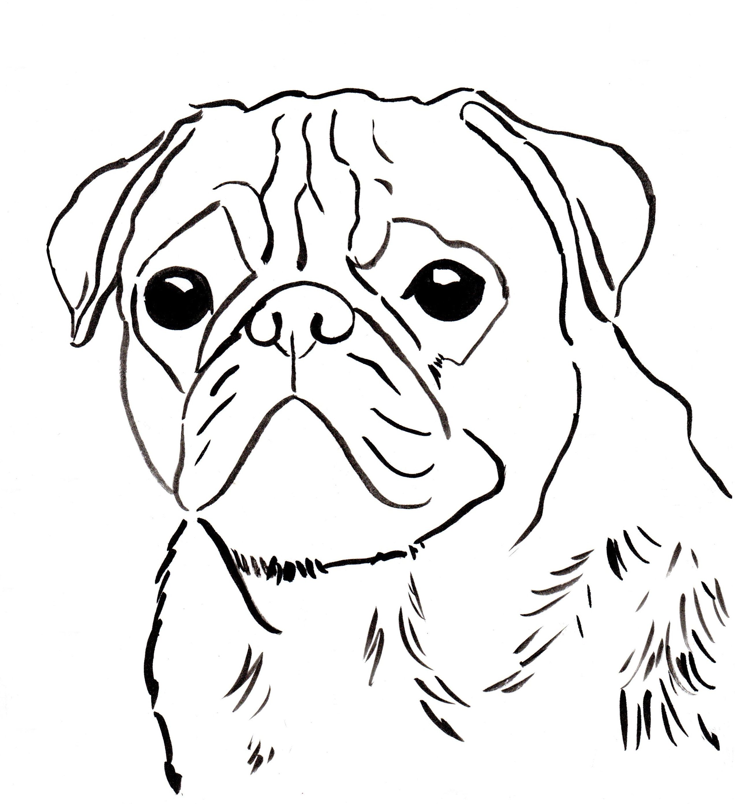 halloween-pug-coloring-pages-clip-art-library