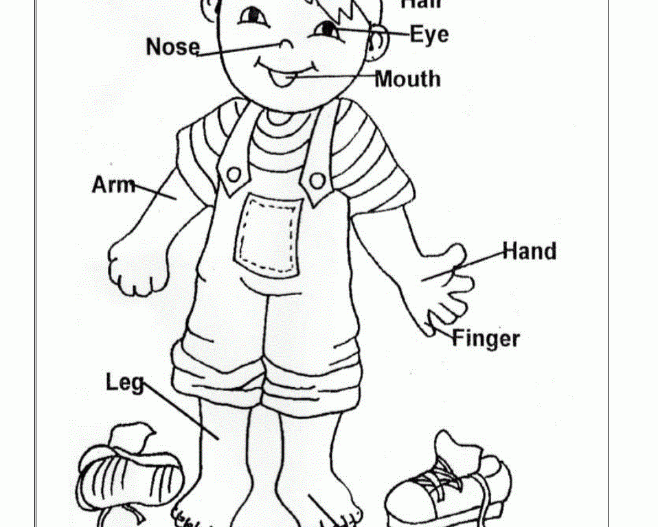 parts of the body coloring - Clip Art Library