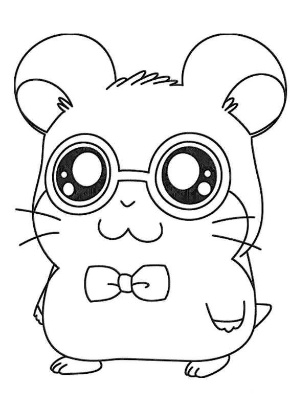 Study Hamster Coloring Page , Definition Coloring