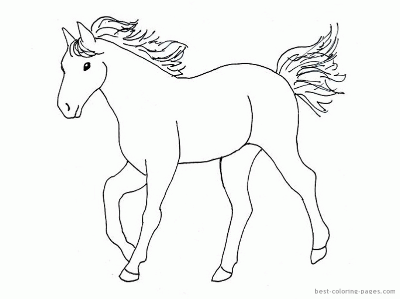 Horses coloring pages | Best Coloring Pages | Free coloring pages