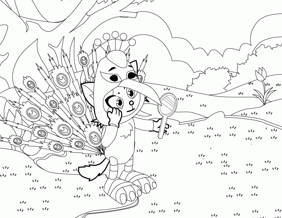 Peacock Pictures For Kids
