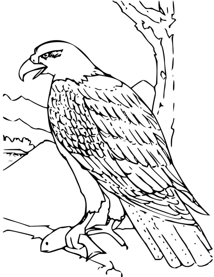 ninjago printable coloring pages  High Definition