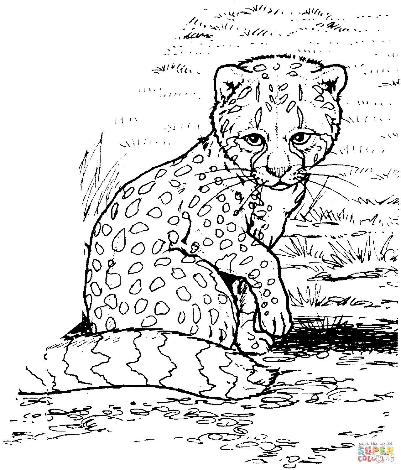 Coloring Pages Cheetah Girls