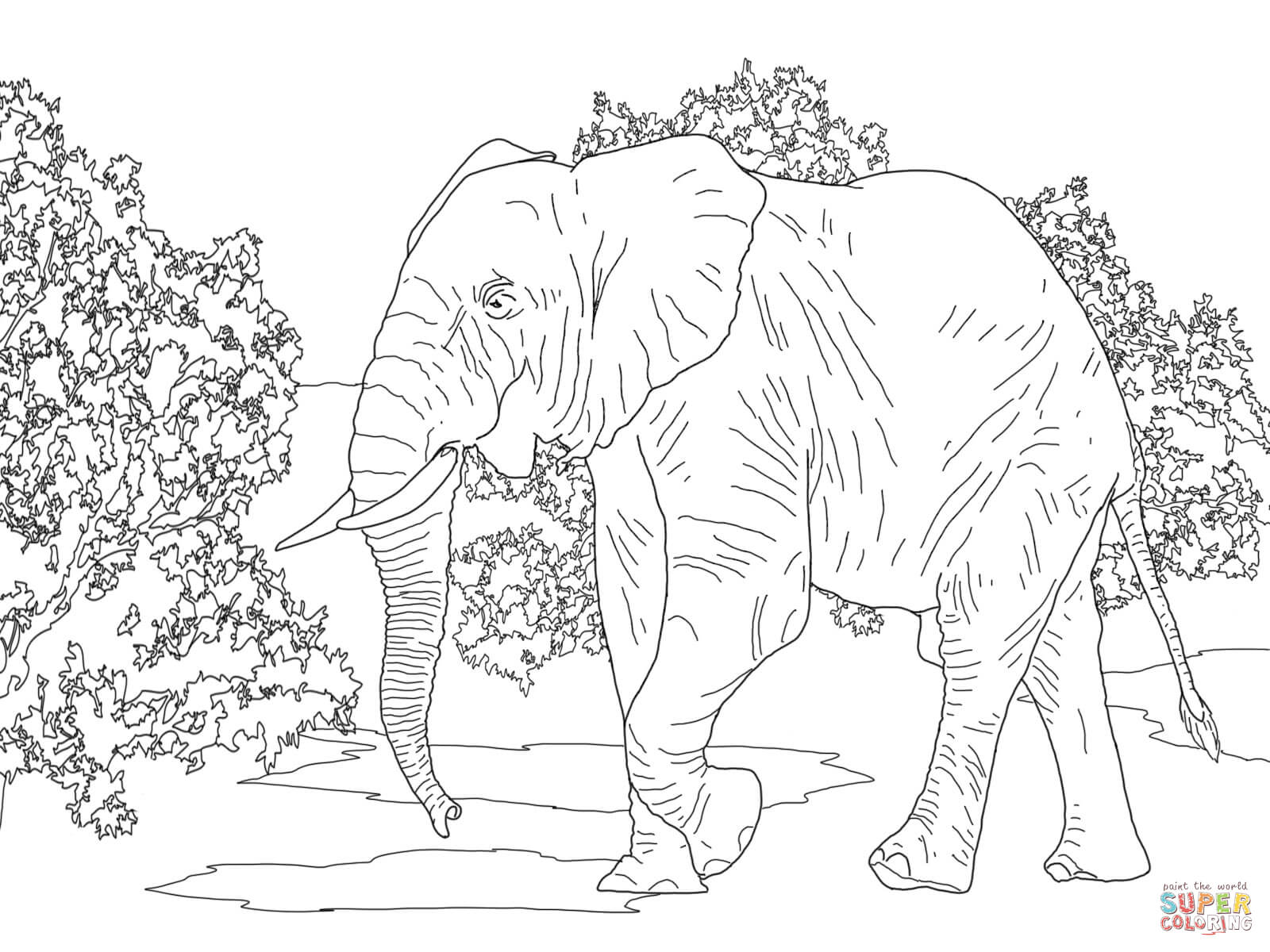 Free Elephant Coloring Pages for Adults - Easy Peasy and Fun