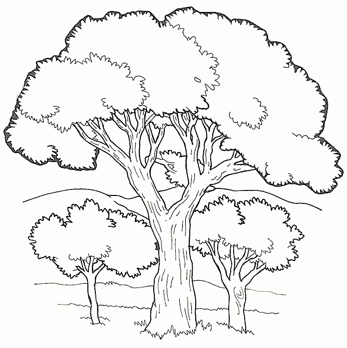 Free Tree Birthday Coloring Page, Download Free Tree Birthday Coloring ...
