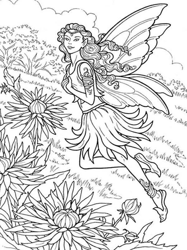 Beautiful Fairy of Chrysanthemum Coloring Page: Beautiful Fairy