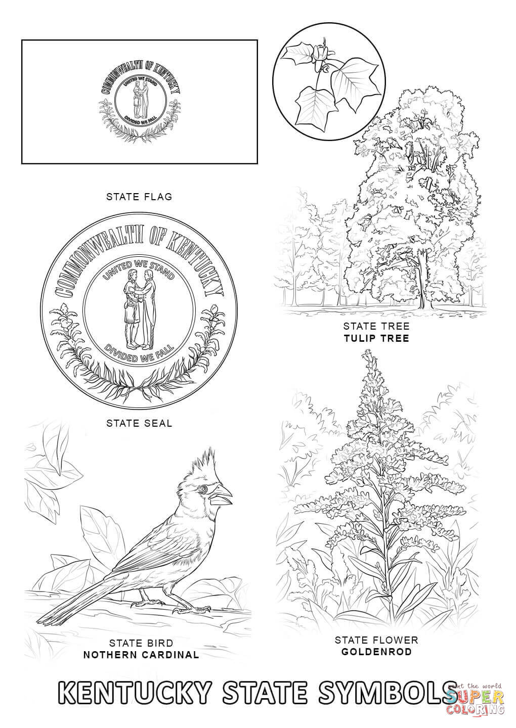 alaska state tree coloring page