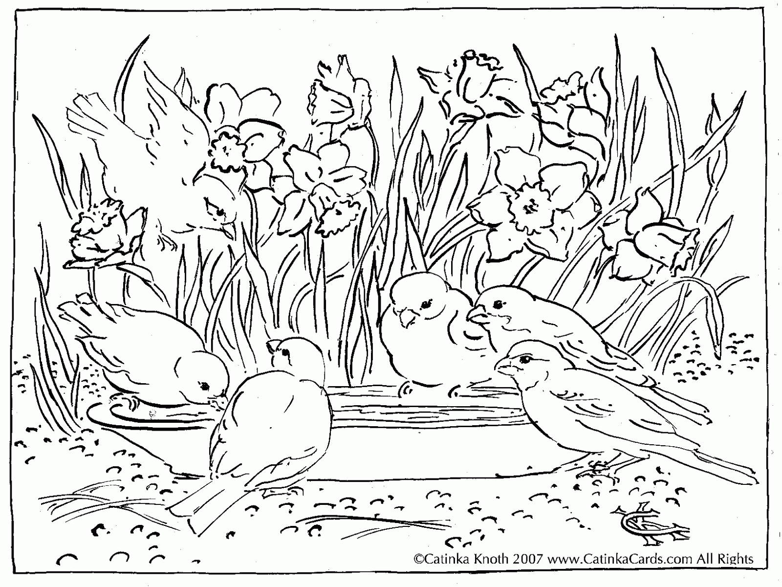 scenic free coloring pages