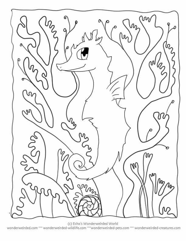 Cartoon Animals Coloring Pages Seahorse, Fantasy Coloring Pages