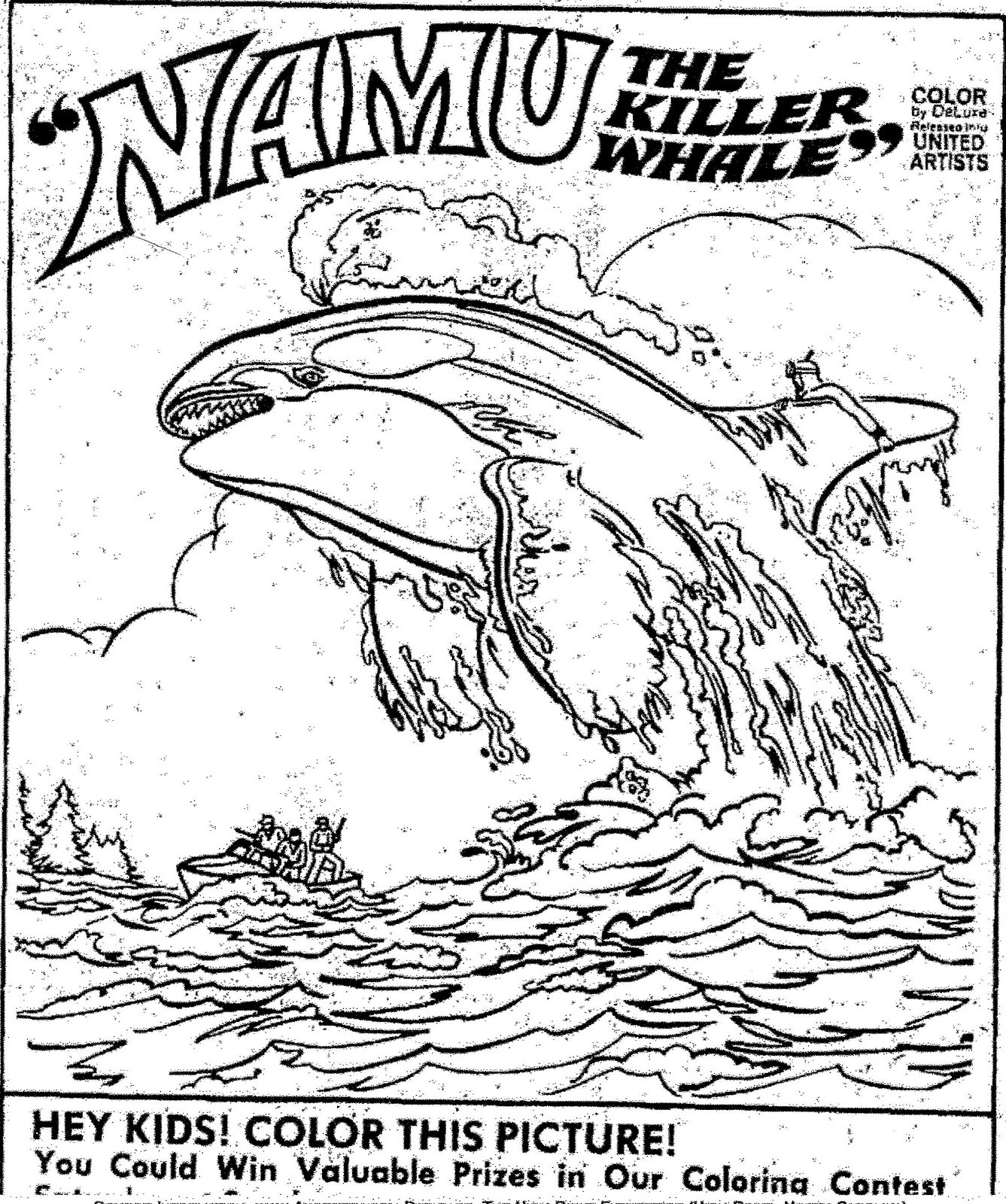 Orca Whale Coloring Page 666273 Clipart Library Orca Whale Coloring Page 666273 Clipart Library