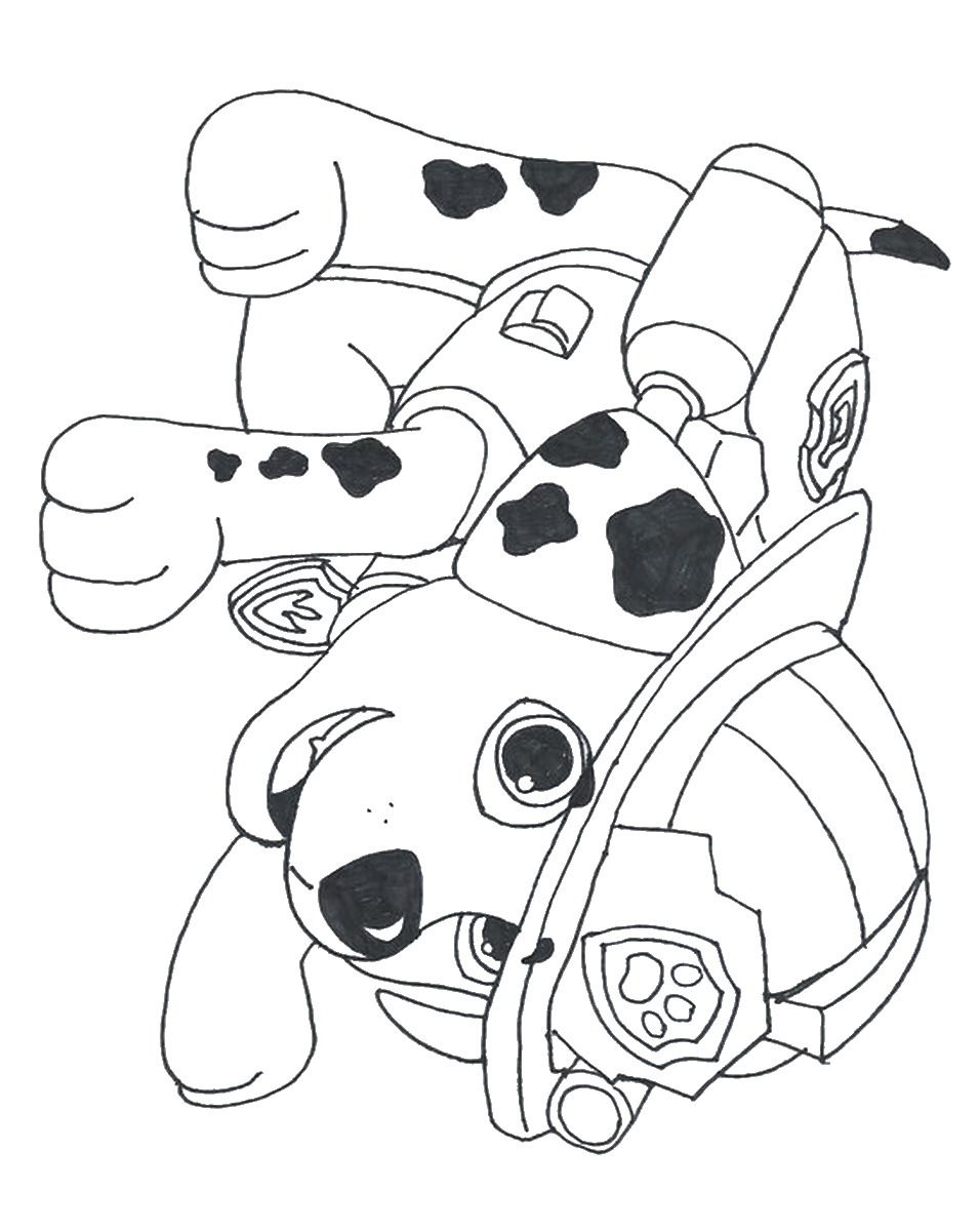 Simple Paw Patrol Zuma Coloring Page - ColoringAll