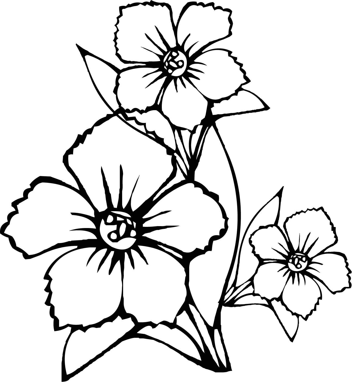 Drawing Photos Flower - Jasmine Flower Black And White, HD Png Download ,  Transparent Png Image - PNGitem