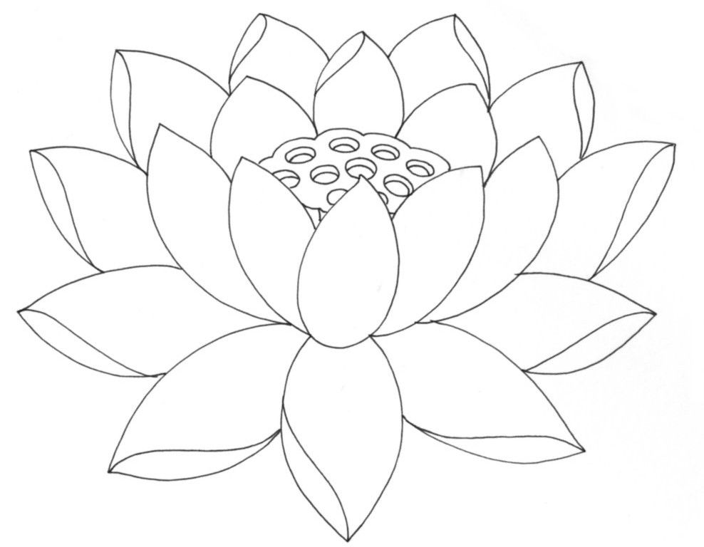 Free Simple Flower Outline, Download Free Simple Flower Outline png ...