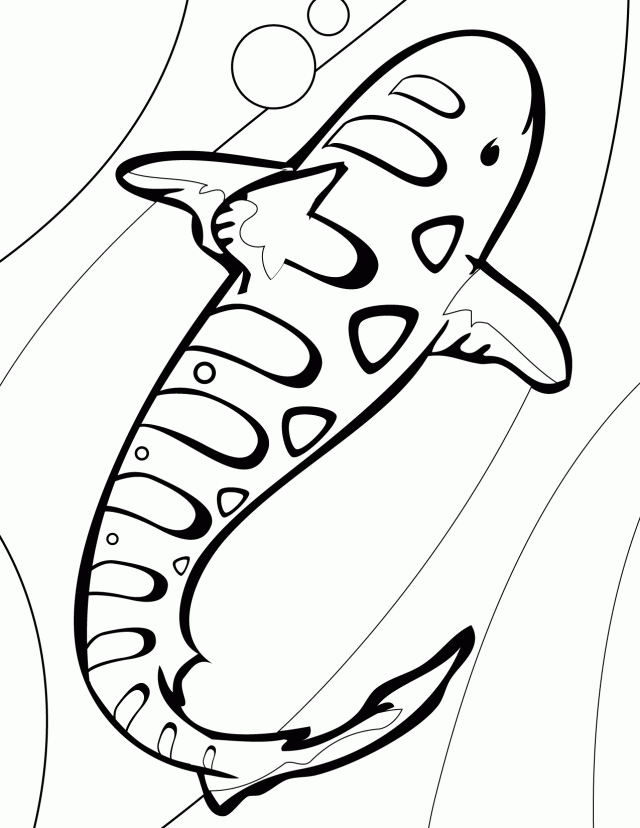Tiger Shark Coloring Page Clip Art Library