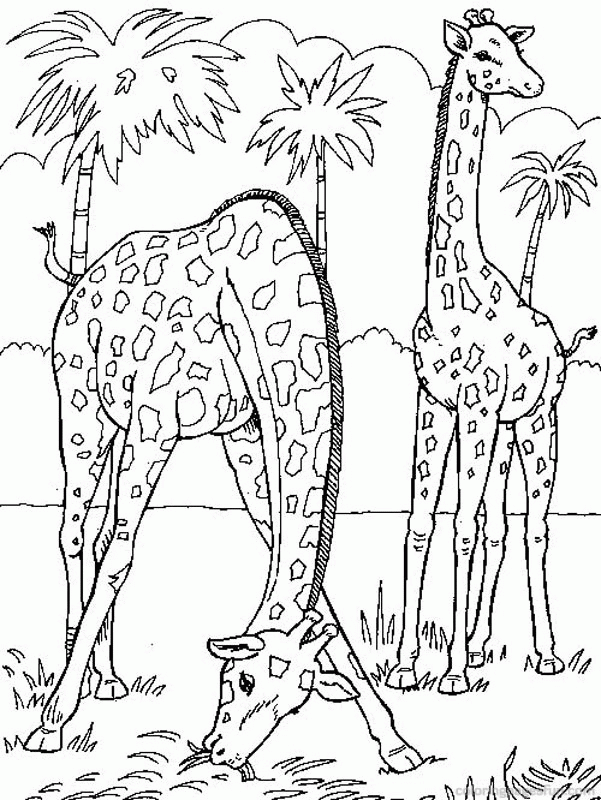 Precious Moments Giraffe