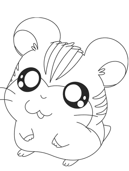 pictures penelope the hamster coloring pages cute hamster