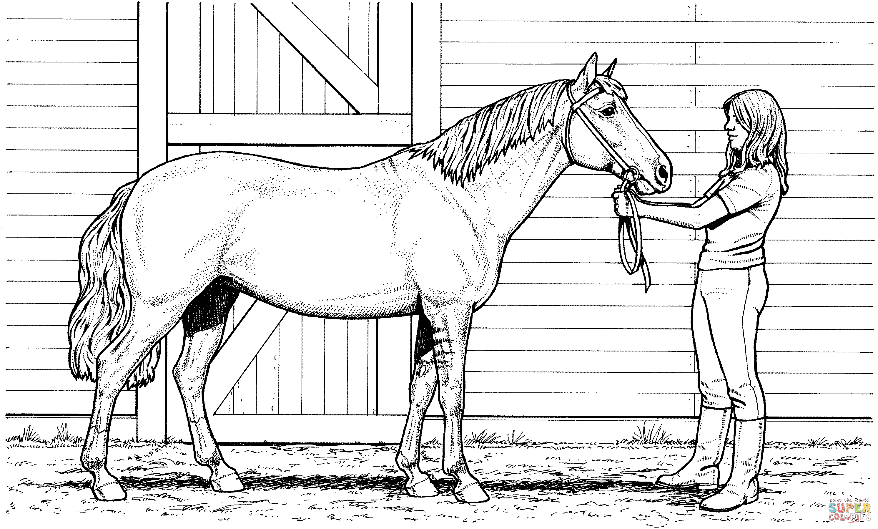 Schleich Horses Coloring Pages Clip Art Library Schleich Horses Coloring Pages Clip Art Library