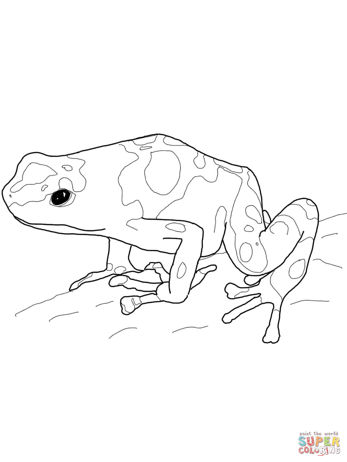 blue poison dart frogs coloring page - Clip Art Library