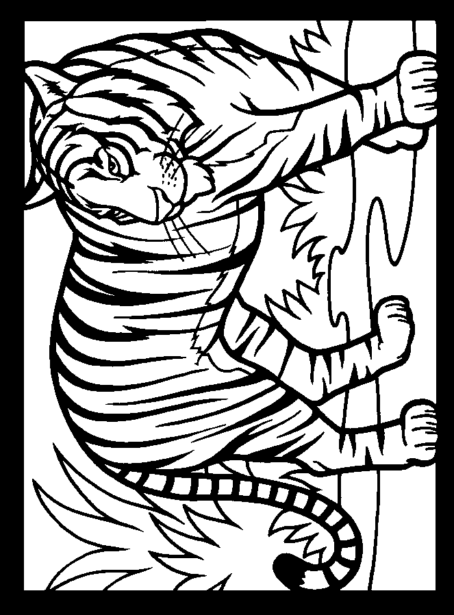 White Tiger Coloring Pages