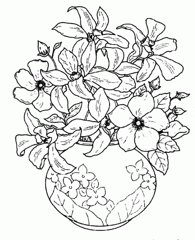Hibiscus Flower Drawing, Hand Draw Flower Vase Illustration,Vector Sketch,  Decorative Pencil Art,' Photographic Print - samina akter | Art.com