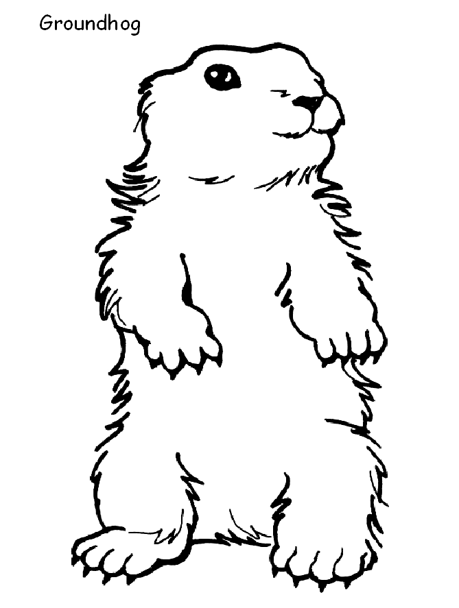 Printable Coloring Pages Of Groundhogs