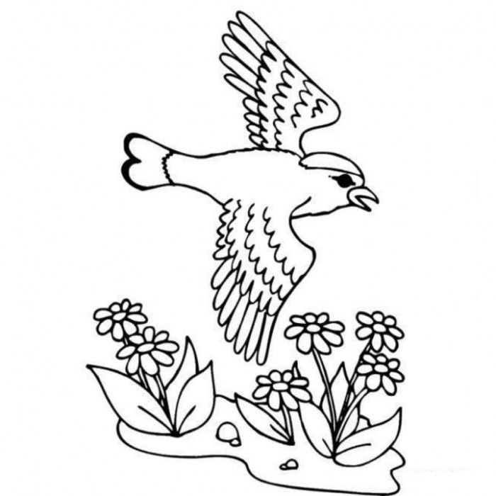 Activity Village Spring Coloring Pages - Spring Coloring Pages