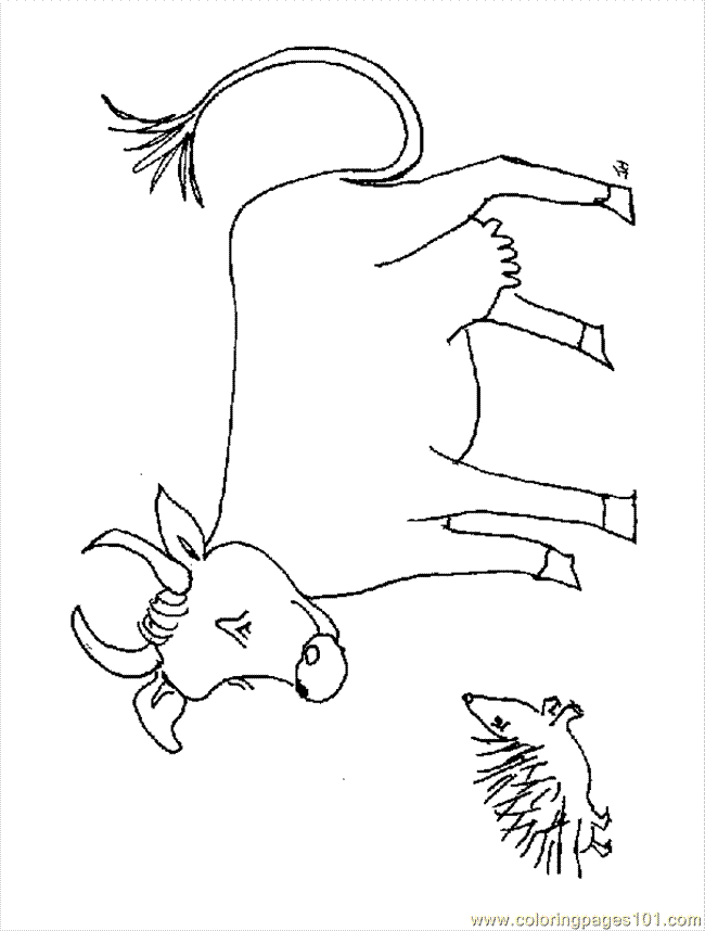 cow coloring pages - Clip Art Library
