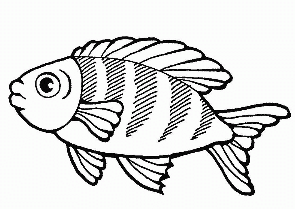 Drawing Of A Big Fish - Clip Art Library