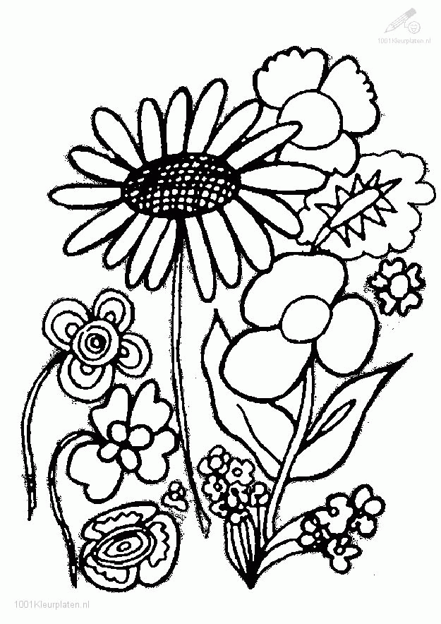 plants and flowers Colouring Pages