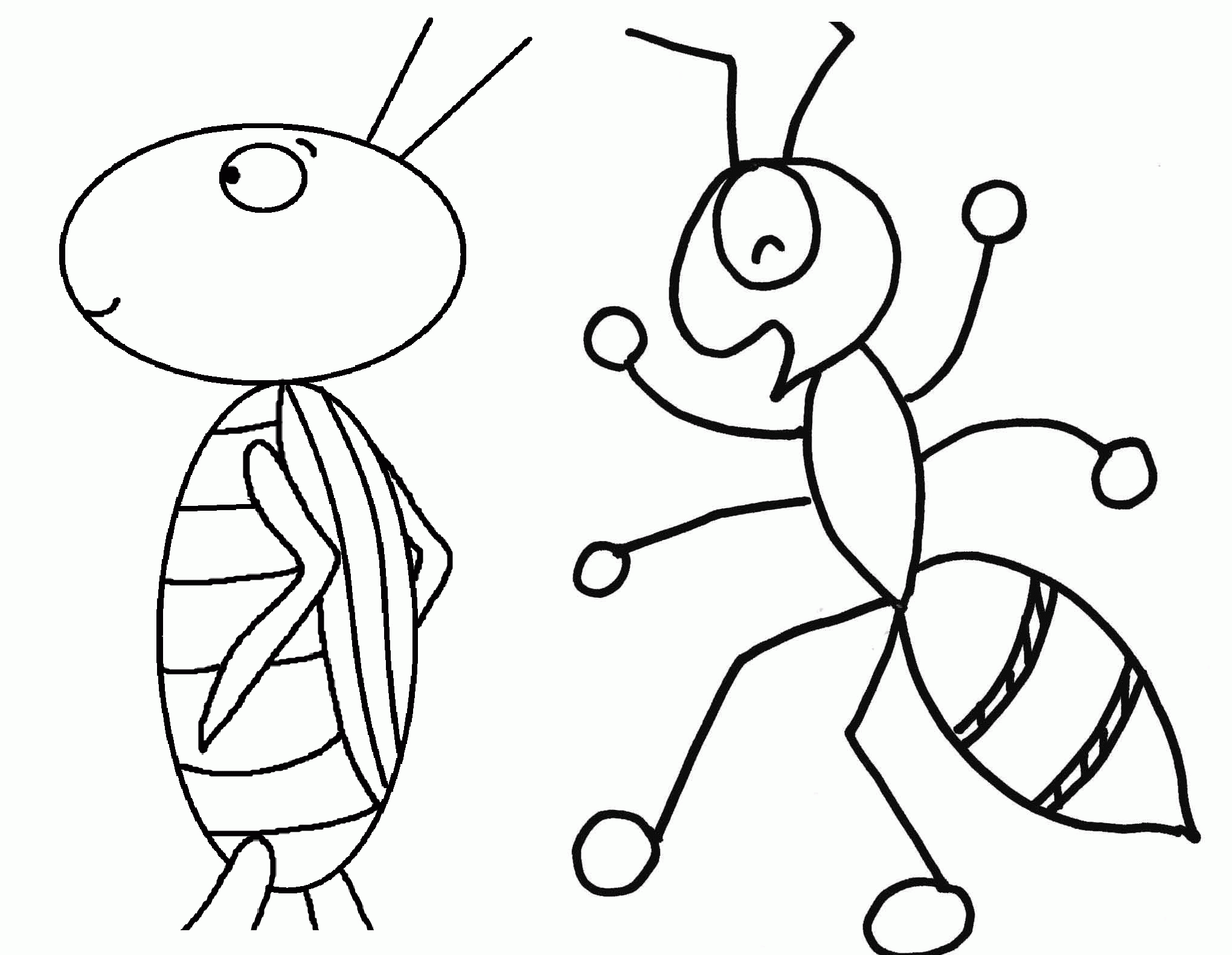 Hand drawn doodle grasshoppers. Stylized insects on white background.  Vector illustration. 11084286 Vector Art at Vecteezy