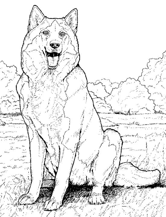 Printable Realistic Puppy Coloring Pages