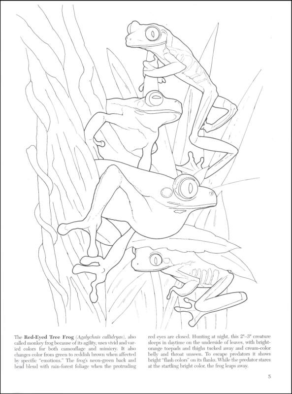 Mimicry and Camouflage in Nature Coloring Book  Details