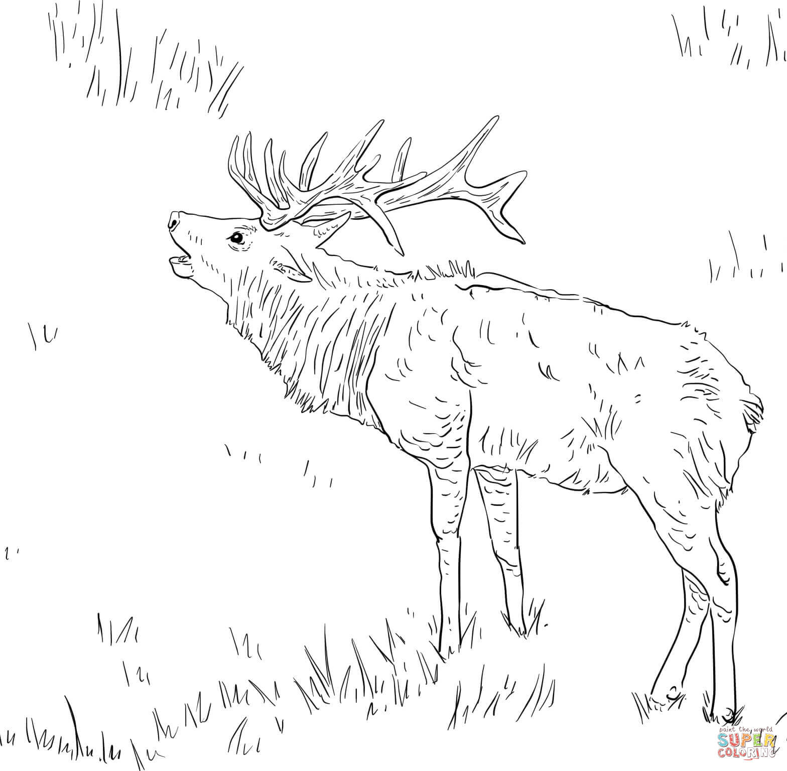 elk-hunting-elk-coloring-pages-clip-art-library