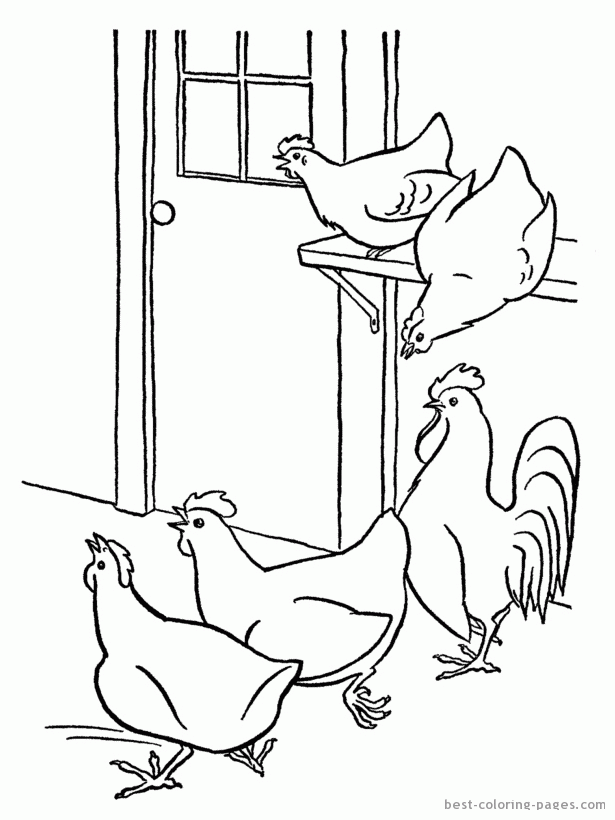 Hens coloring pages | Best Coloring Pages| free printable