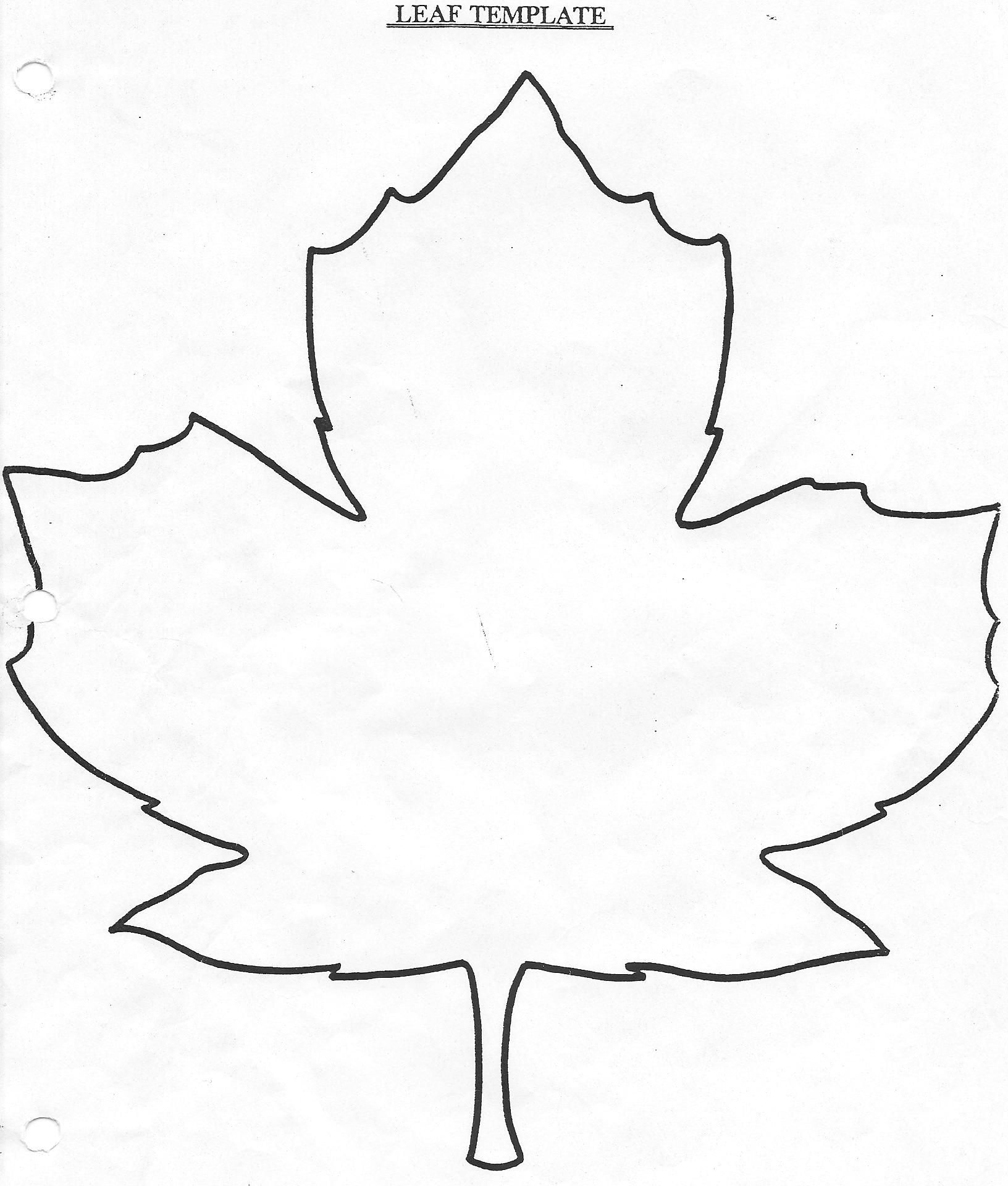 maple-leaf-contour-drawing-clip-art-library