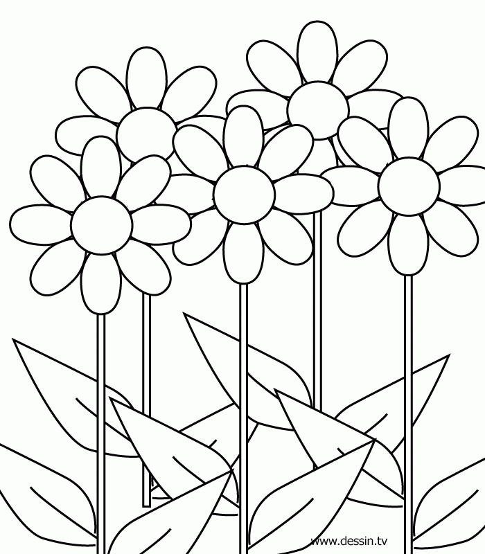 coloring pages book | Coloring Picture HD For Kids 