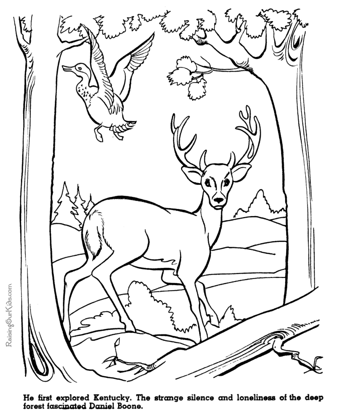 Search Results American History Coloring Pages