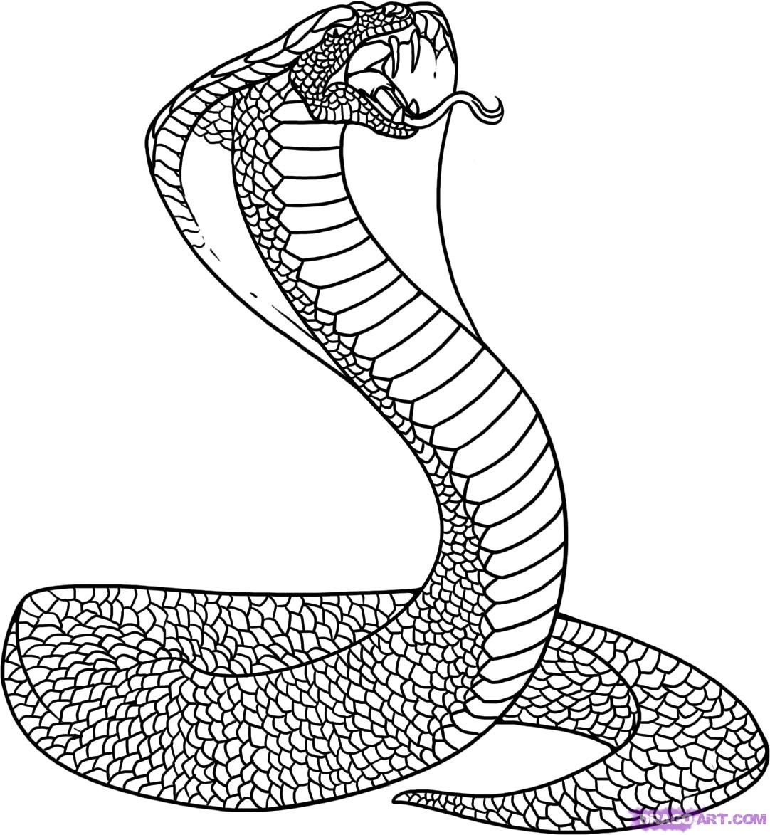 Free Printable Snake Coloring Pages Free Printable Templates | The Best ...