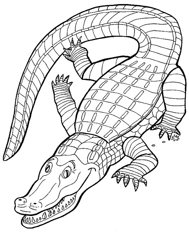 Crocodile animal coloring page for kids Royalty Free Vector