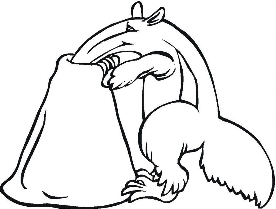 Anteater Coloring Page Coloring For Kids Coloring Download