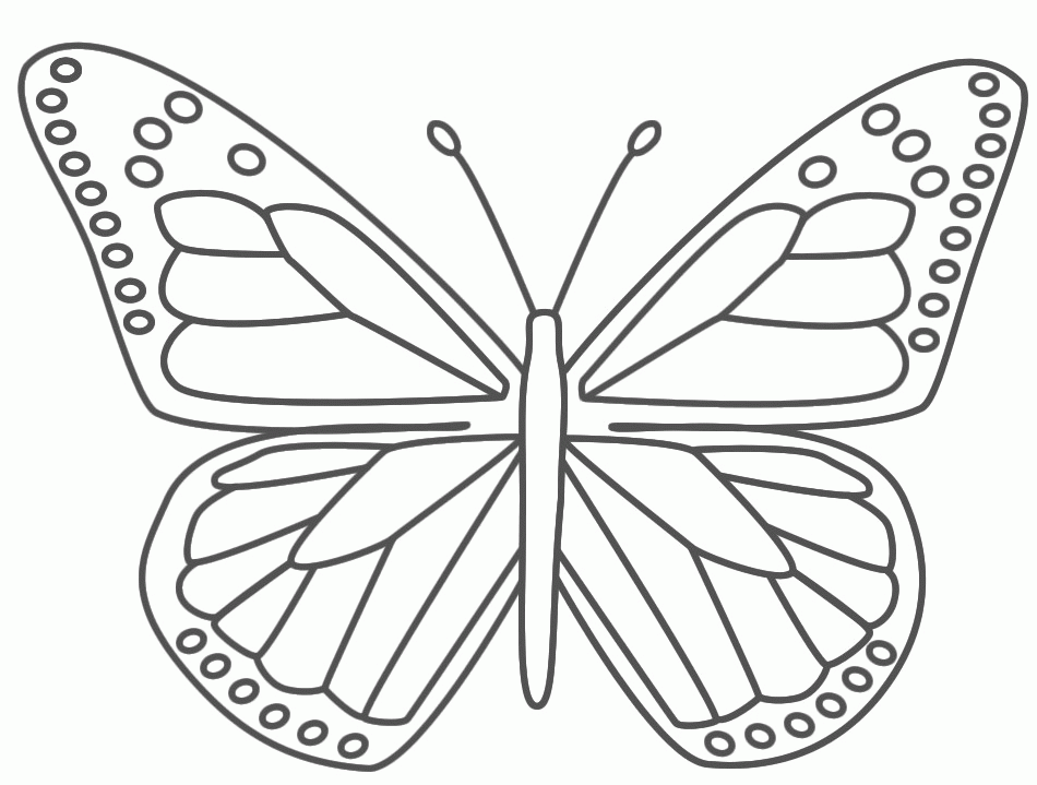 Butterfly Coloring Pages To PrintColoring Pages