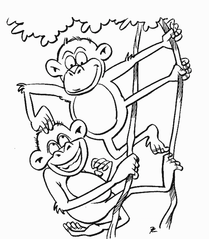 Cute little monkey coloring page for kids animal outline coloring book  cartoon vector illustration Stock Vector | Adobe Stock