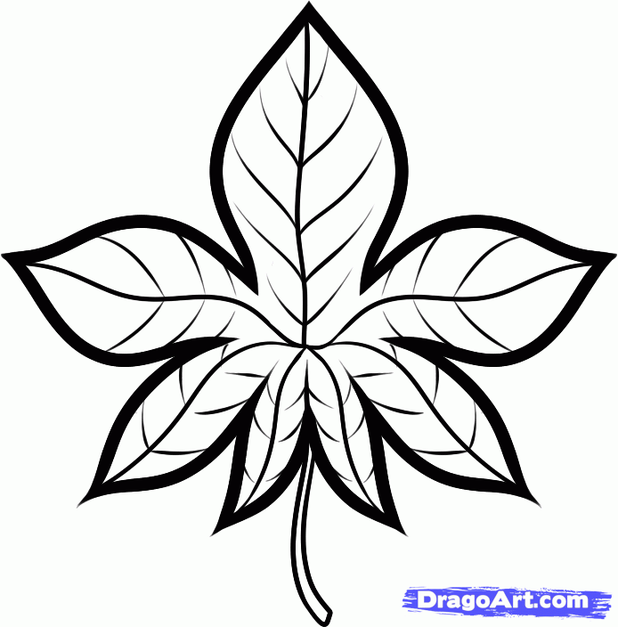 Monstera leaf drawing stock vector. Illustration of simple - 147388993