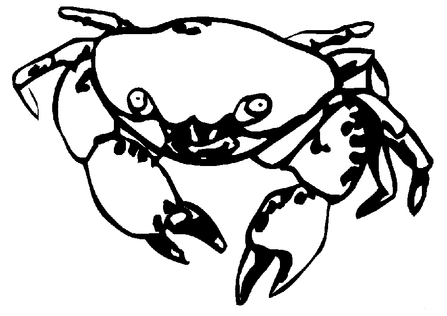 Hermit Crab Coloring Page